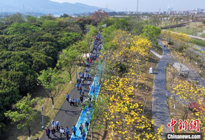 全国春季游泳锦标赛收官 中国泳坛新周期迎新气象