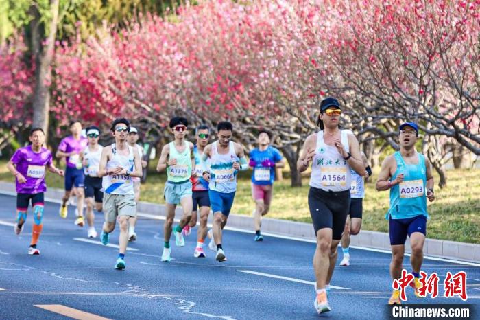 5000名跑者在京竞速海淀马拉松系列赛 畅跑“三山五园”