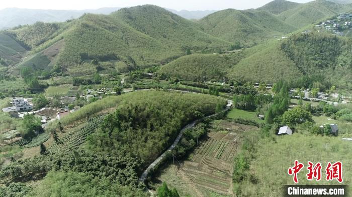 上万跑者竞速湖北咸宁 感受“香城泉都”绿色动能